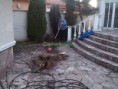 /album/kepgaleria-vecses-kert-takaritas-/img-20140310-073108-masolas-jpg/